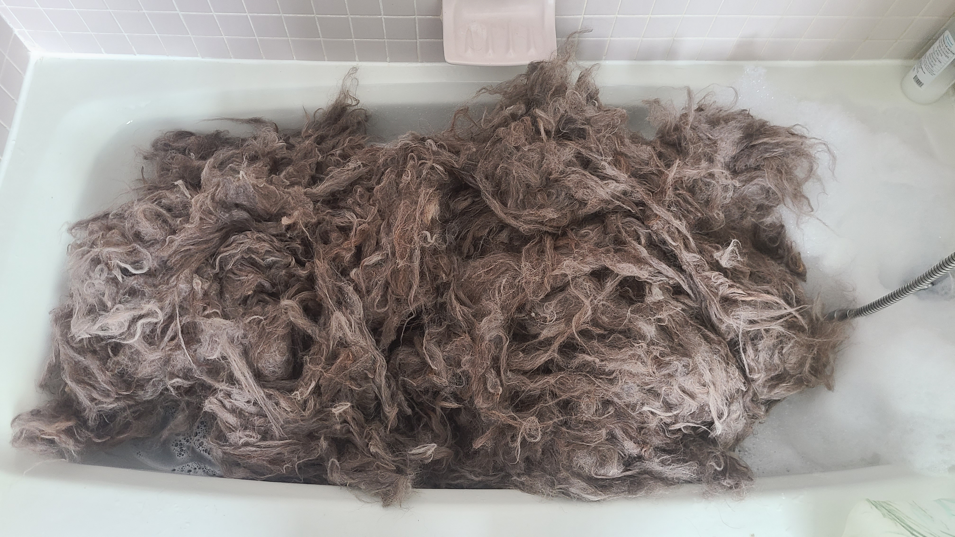 Fiber before the wash